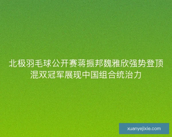 北极羽毛球公开赛蒋振邦魏雅欣强势登顶混双冠军展现中国组合统治力